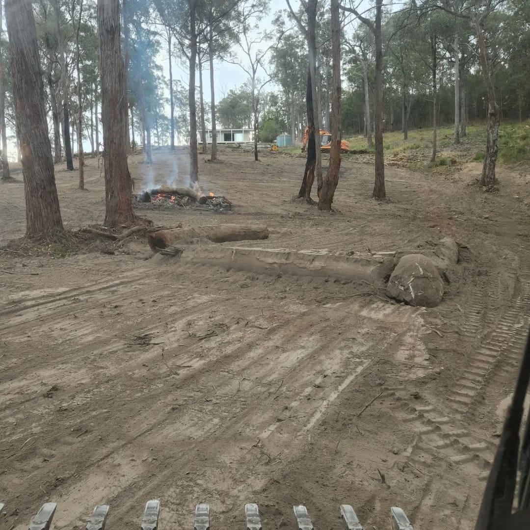 Site clearing operations